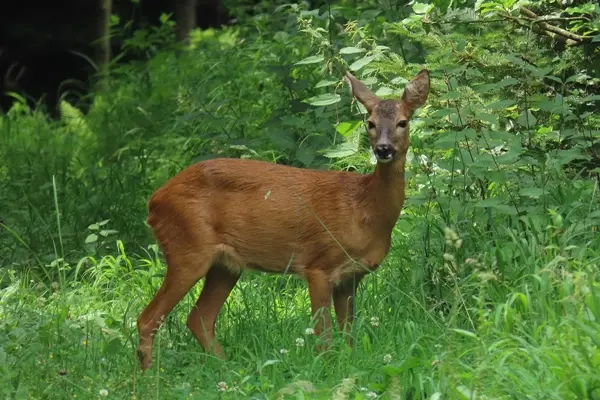Am 6. Juli 2019 in Uster