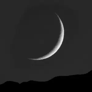 mond